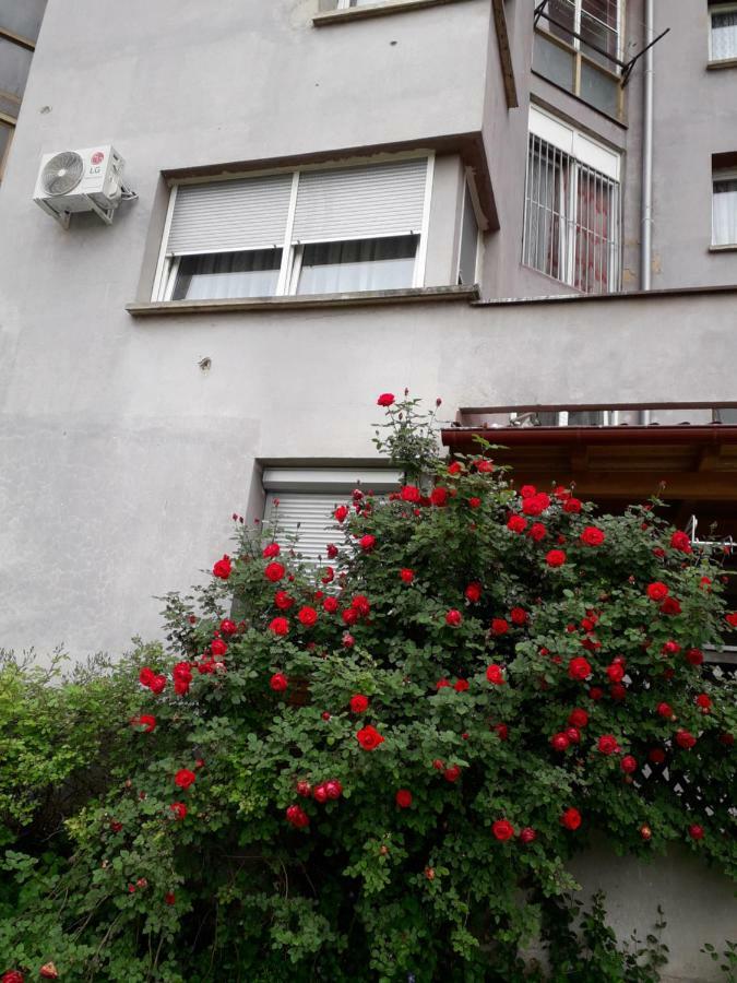 Apartments Lela Bihać Εξωτερικό φωτογραφία